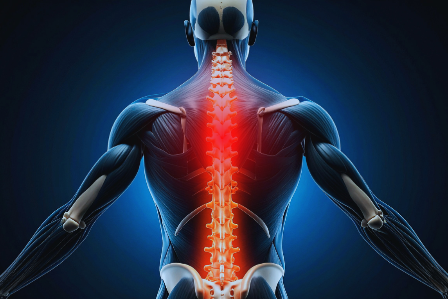 8 Best Treatments for Thoracic Back Pain in 2026