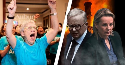 Banner image of Ann Capling celebrating the election win in Kooyong, juxtaposed with Anthony Albanese and Sussan Ley looking sinister with bushfire behind them