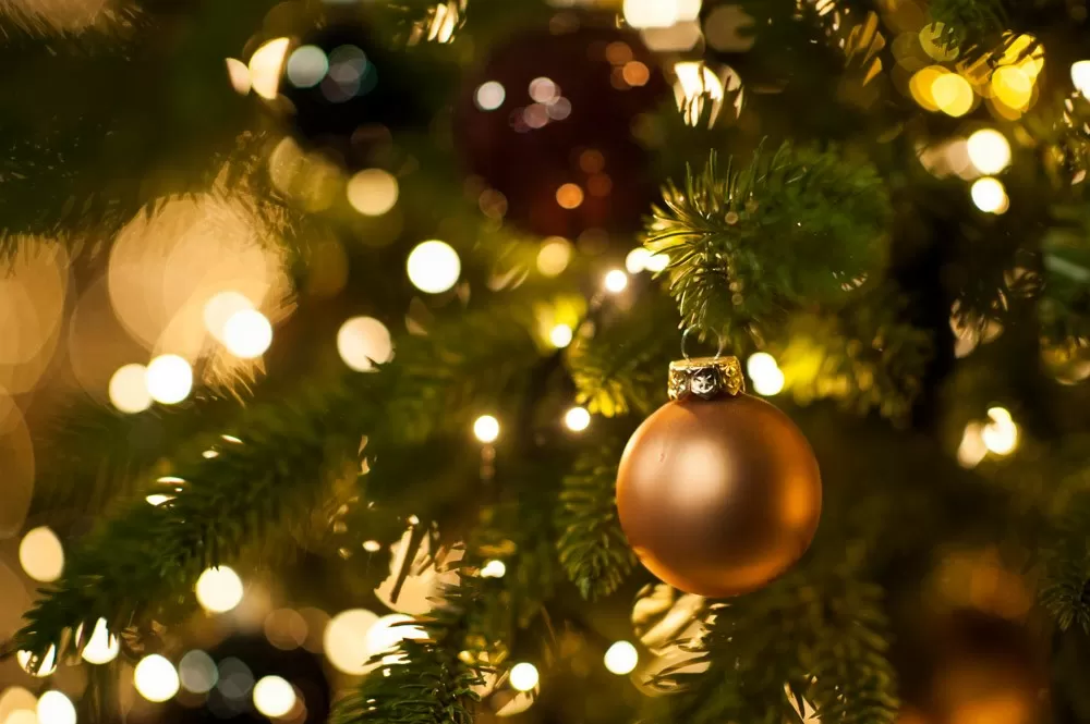 Informatie herfstvakantie