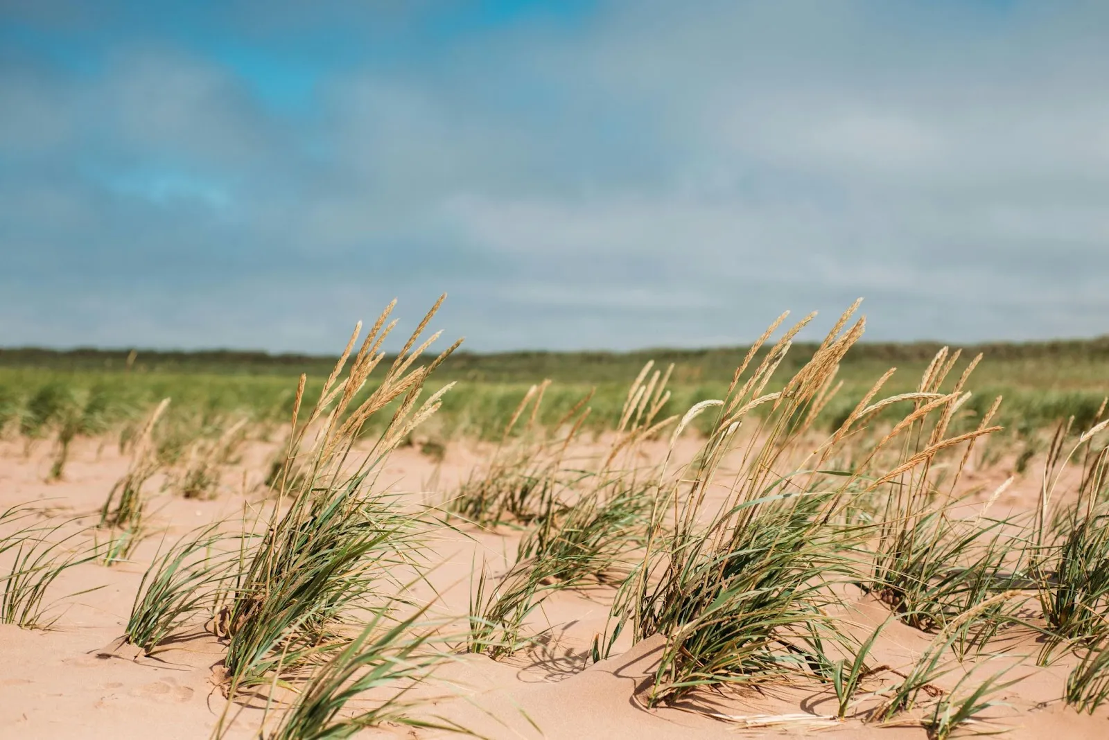 Prince Edward Island