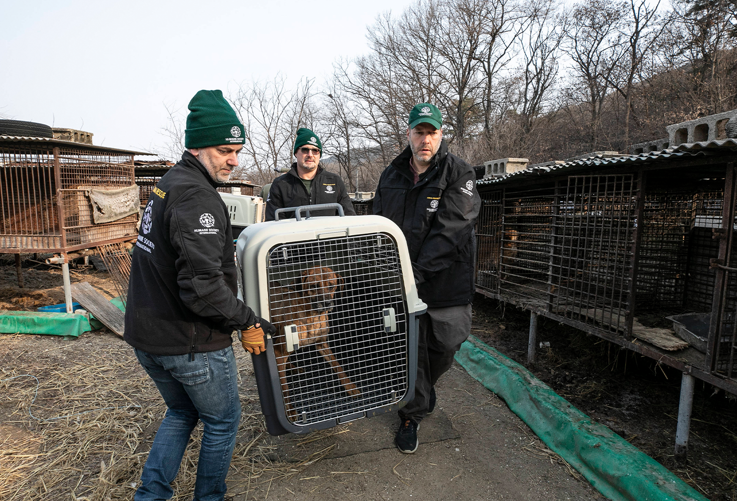 Collecte de fonds sans frais pour la Société protectrice des animaux