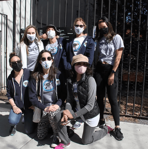 No Office. All Volunteers. No Time to Waste. How Waggytail Rescue Saves NYC’s Vulnerable Pets — One Zero-Fee Donation at a Time