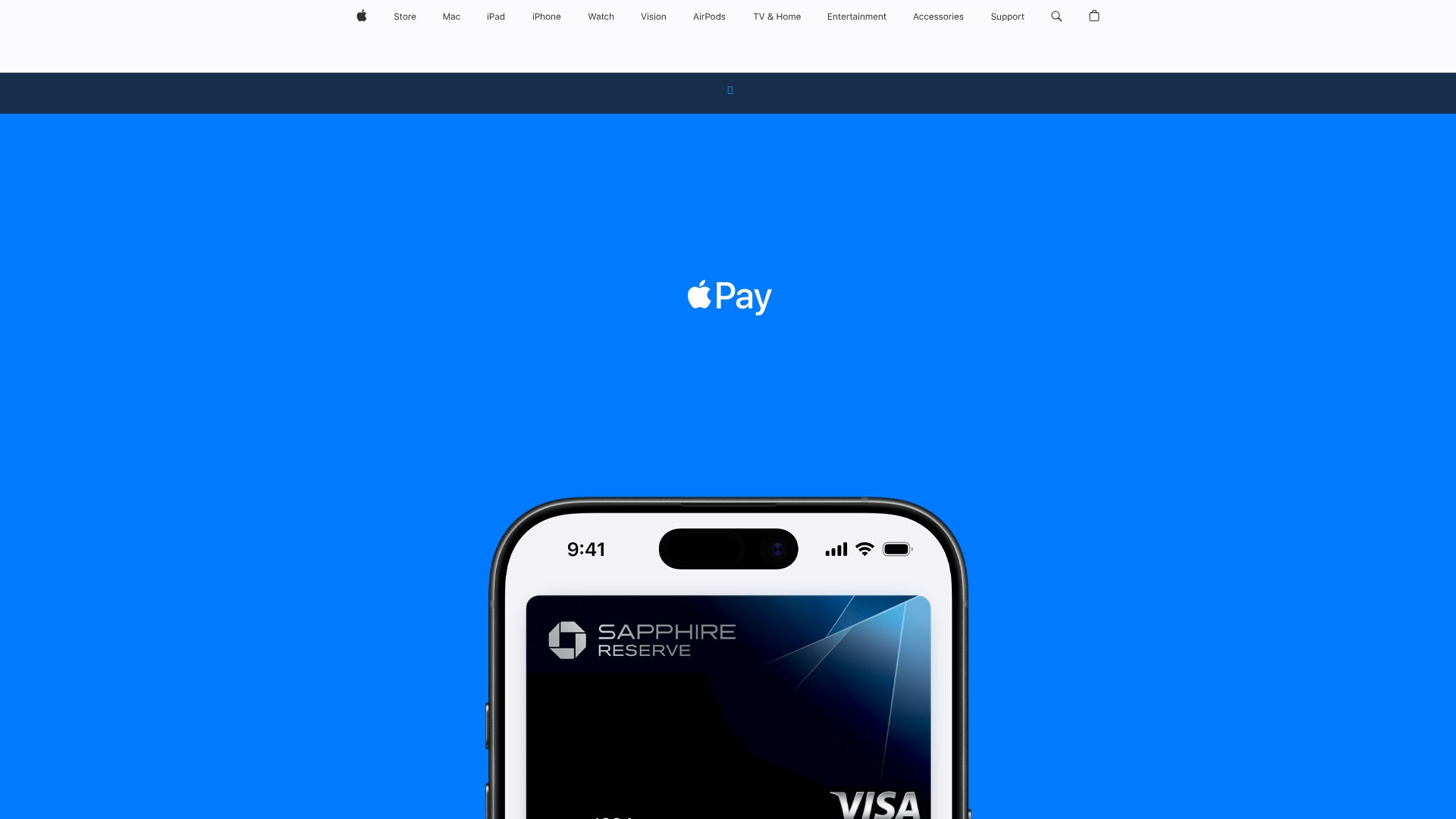 Apple Pay mobile interface showing seamless one-tap donation checkout process on iPhone