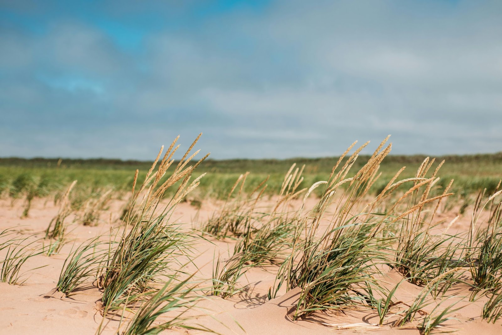 Prince Edward Island