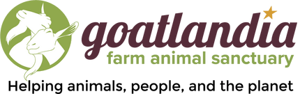 Goatlandia farm animal sanctuary logo