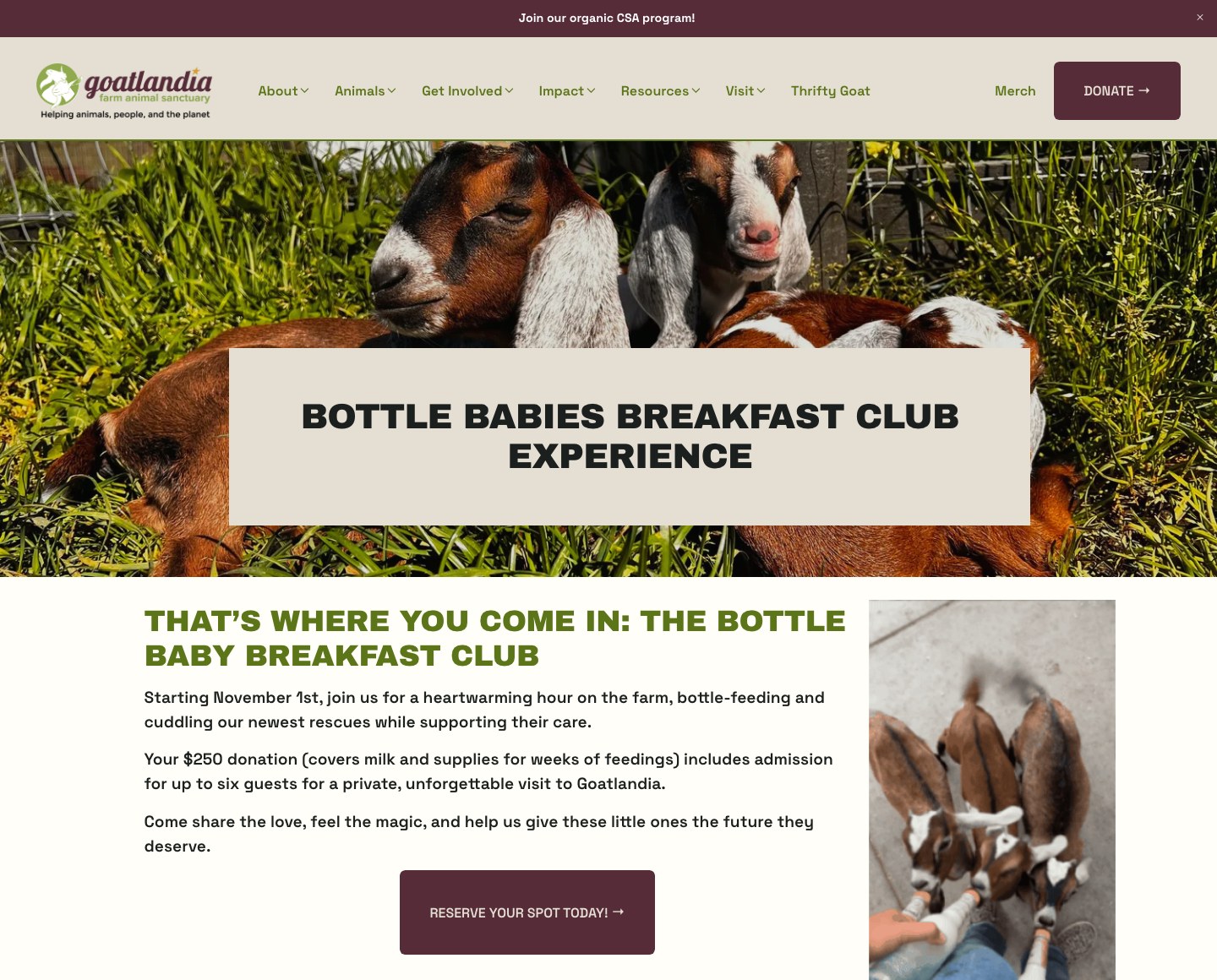 The Bottle Babies Breakfast Club Experience page on goatlandia.org, with a Reserve your spot today button.