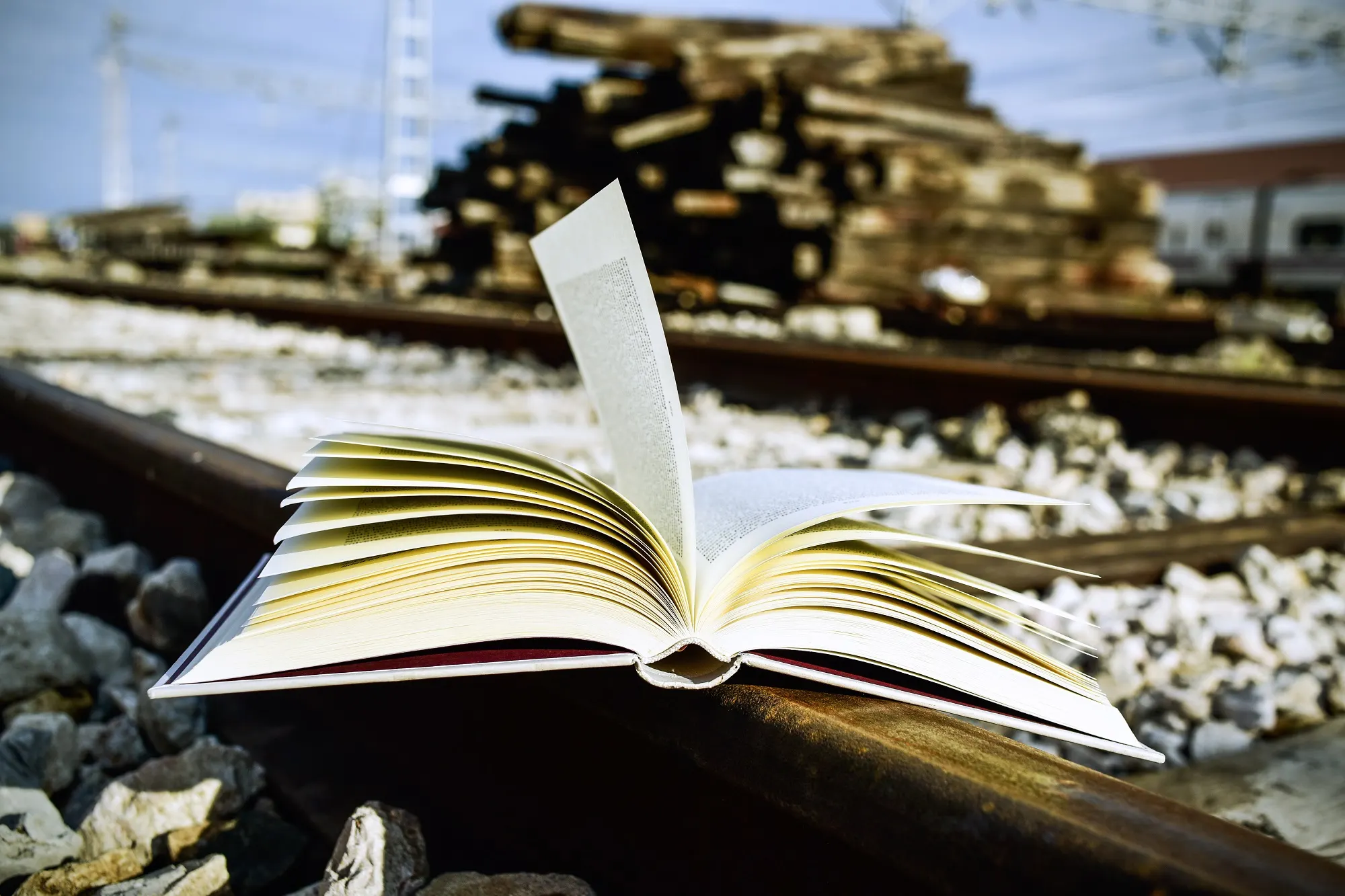 The Ultimate Reading List: The Best Books to Read on a Long Bus Ride