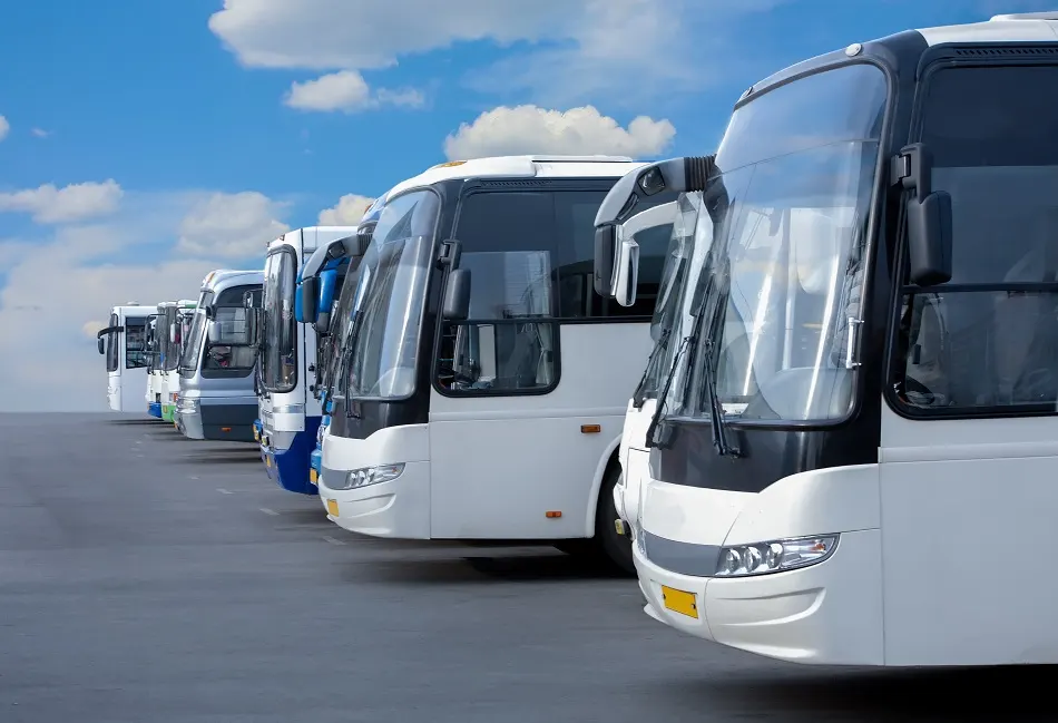 bus vs train