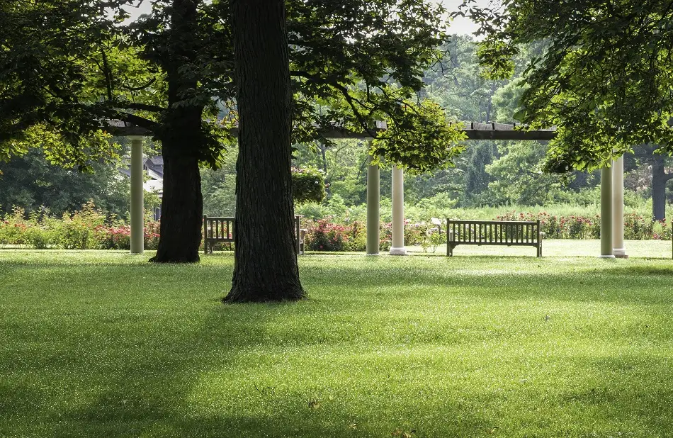 Things to See in Wheaton, IL: 17 Must-Visit Wheaton Attractions