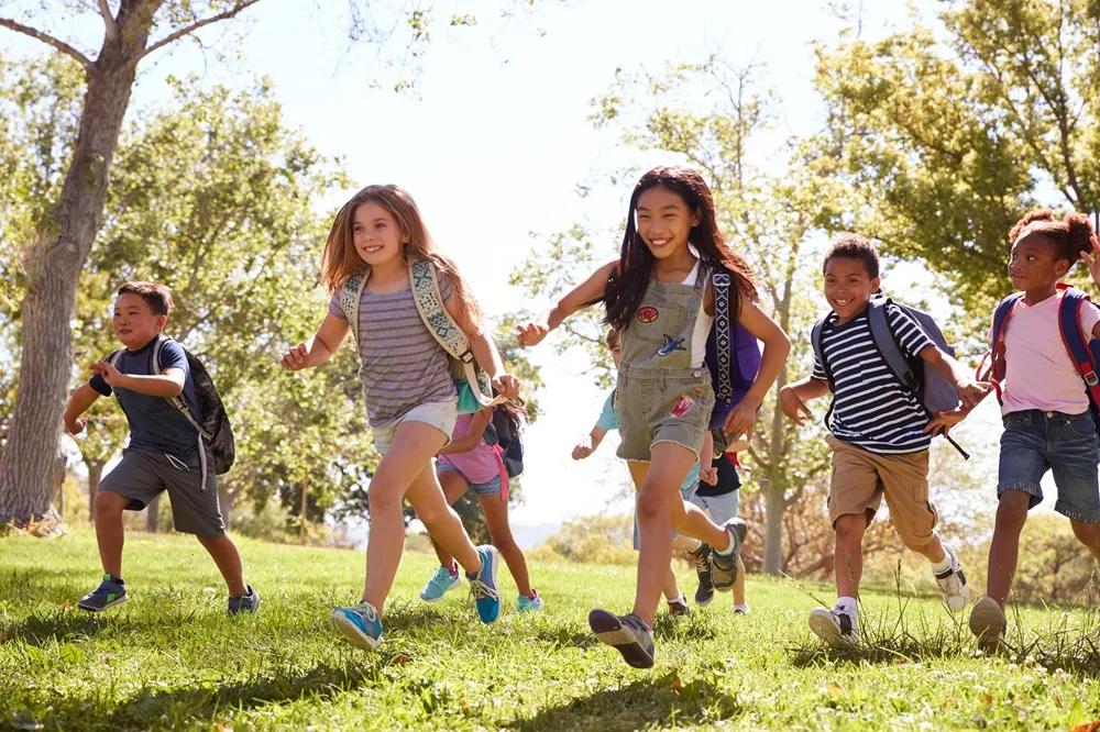 College & School Field Trips