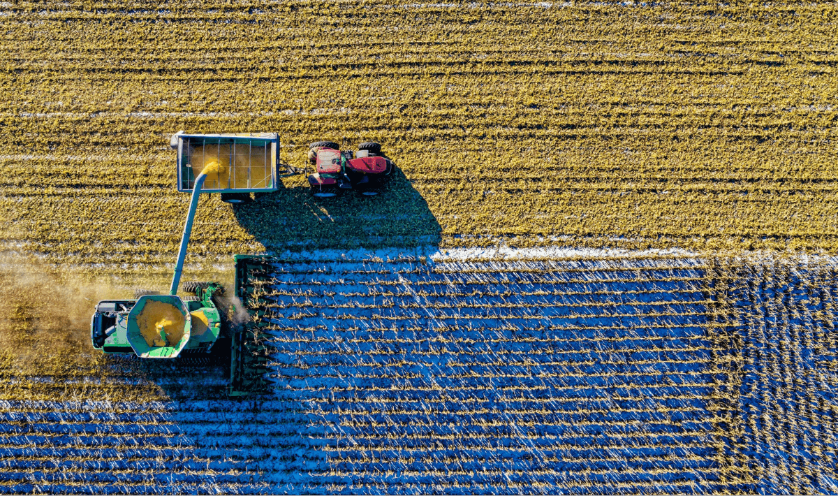 computer vision in agriculture