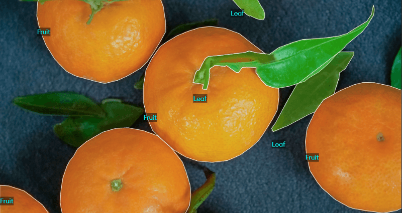 Introduction to object detection with deep learning | SuperAnnotate