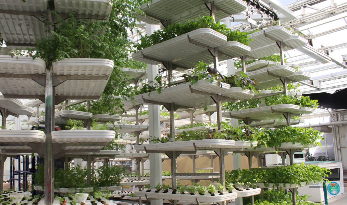 vertical farming