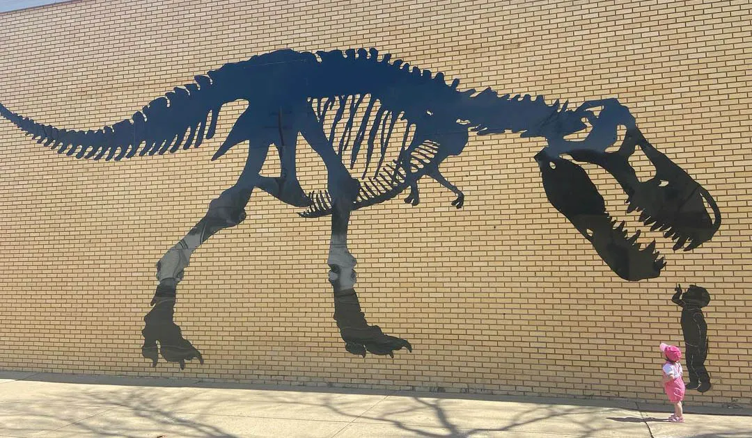 A image of a dino shadow on the wall
