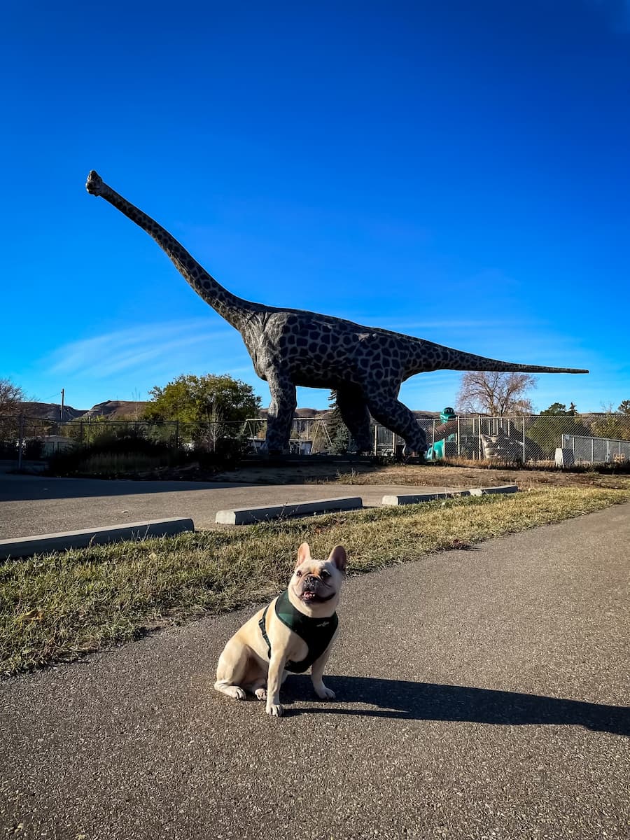 A image of a dinosaur behind a dog