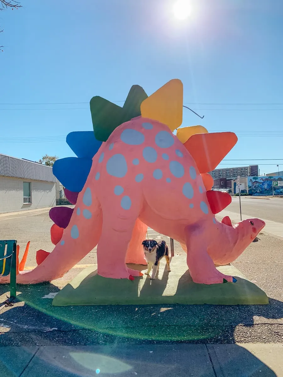 A image of a dinosaur Darcy