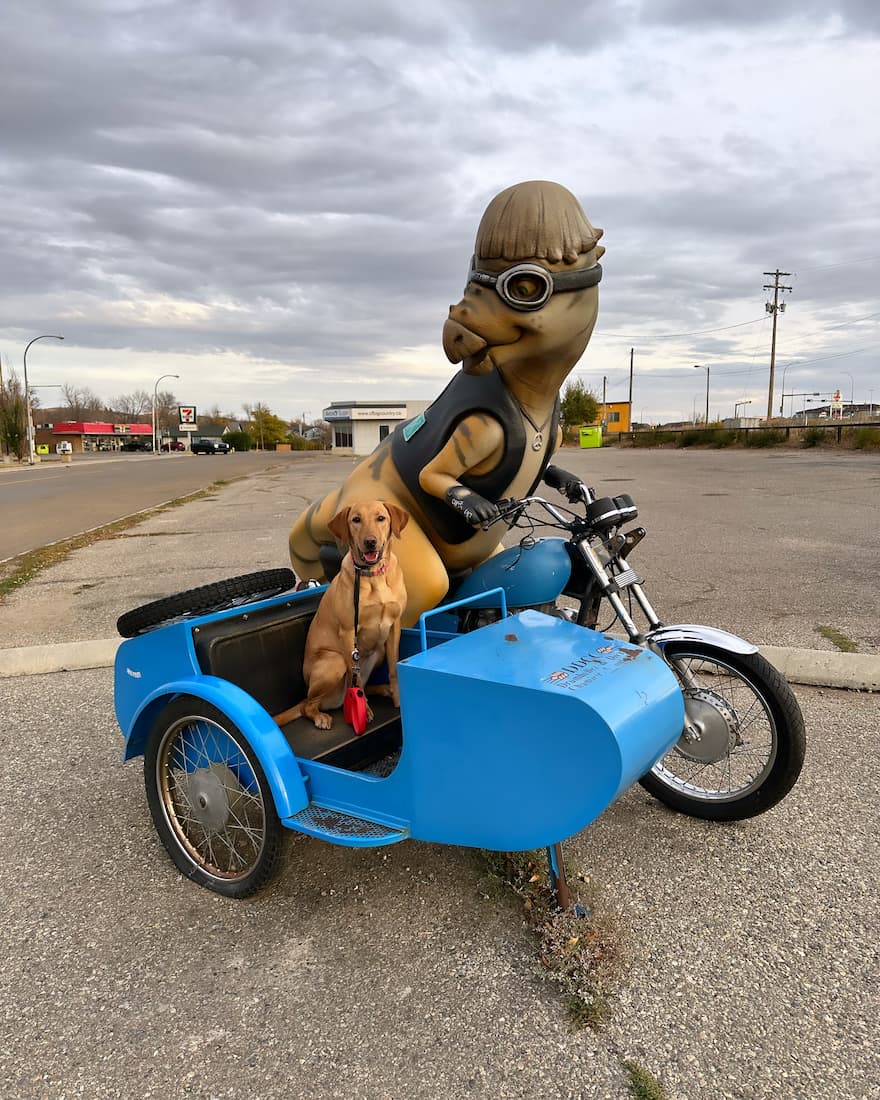 A image of a dinosaur driving a motorcycle with a dog