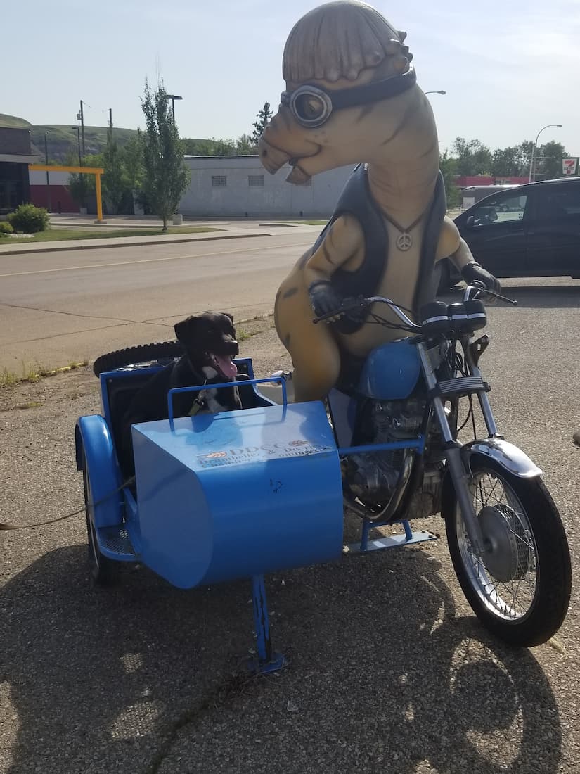 A image of a dinosaur riding a motorcycle