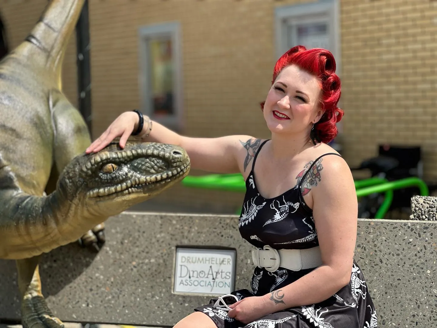 A image of a dinosaur and a person