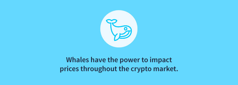 What is a crypto whale?