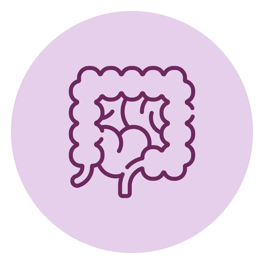 Lower intestine icon 