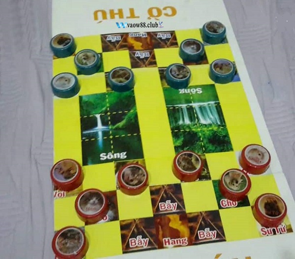 Vị trí đúng của những quân cờ