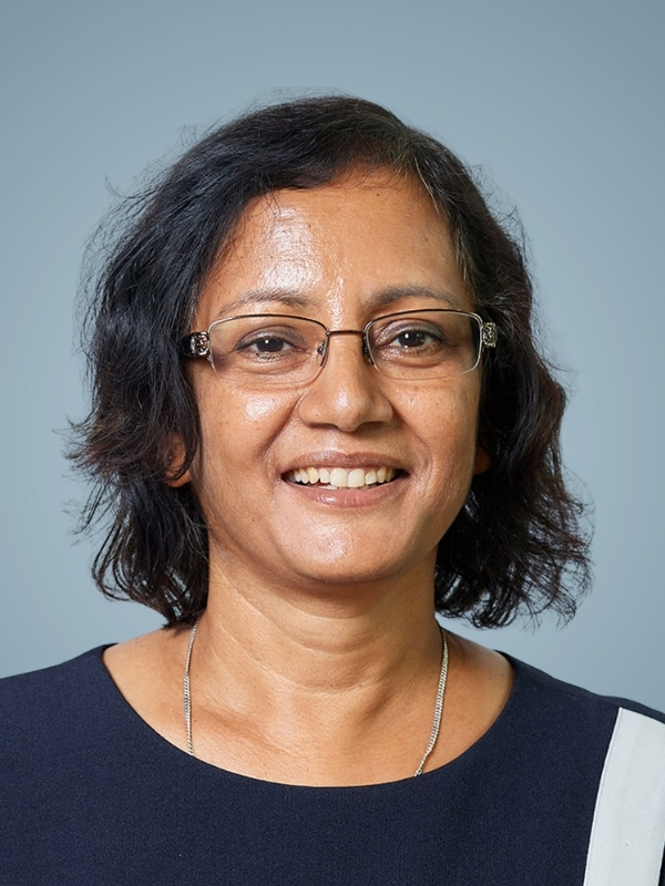 Sarmistha Majumdar, Ph.D.