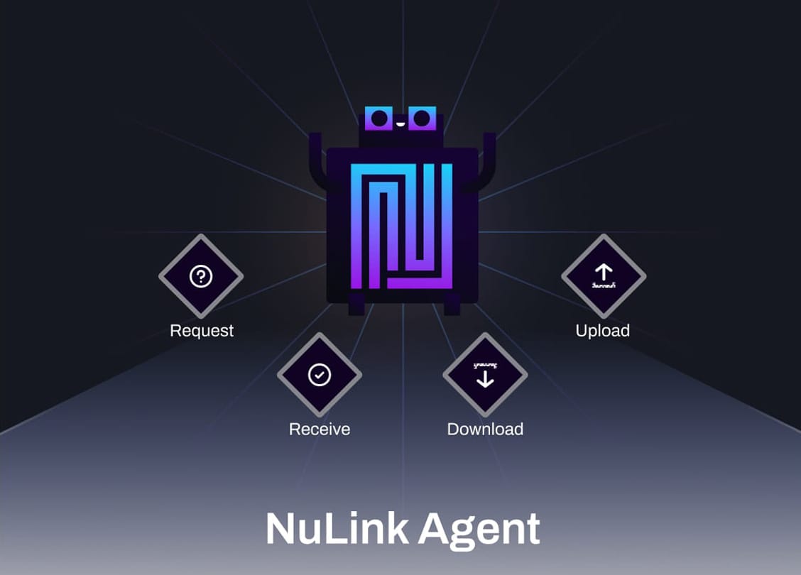 Nulink Agent 