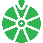 icon image