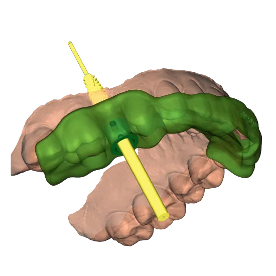 section image