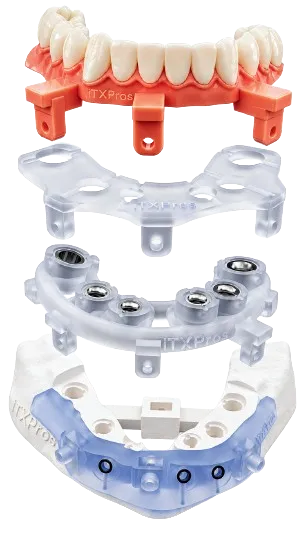 section image