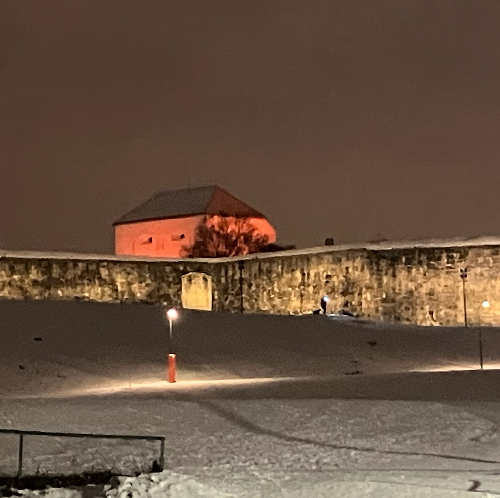 Prostitusjon i Trondheim - åpent møte