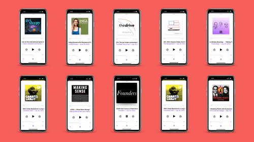 Want to pitch your podcast subscription like the best of the best? Listen to these pitches!