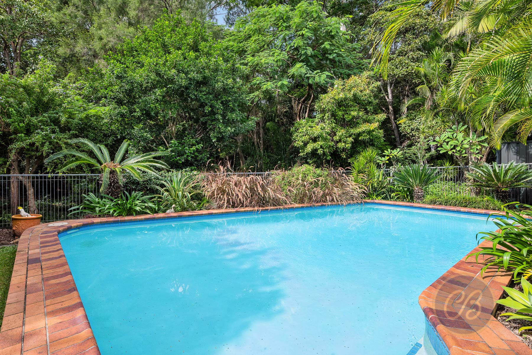 31 Bowen Avenue, Albany Creek, Albany Creek - Thumbnail 6