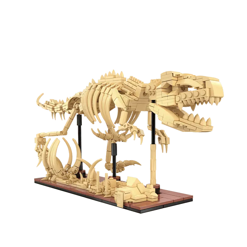 CaDA Dinosaur Rex Fossil
