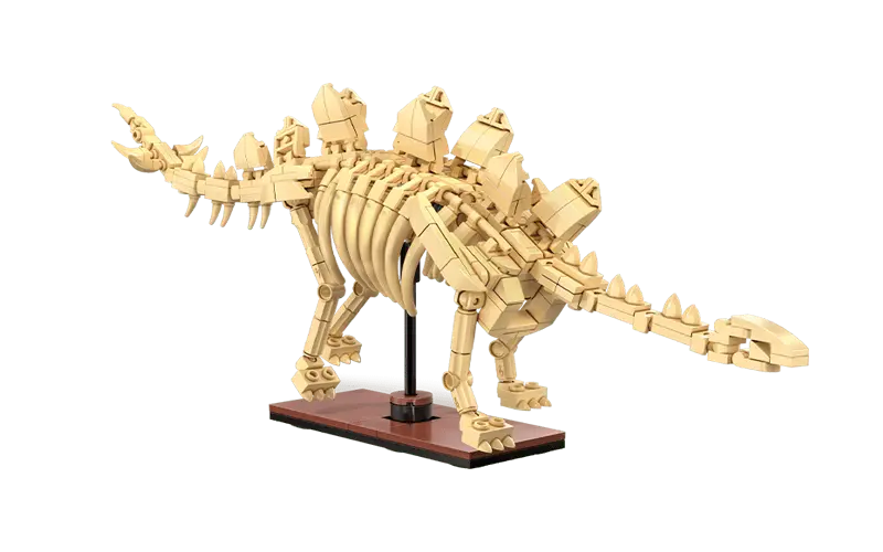 Dinosaur Stegosaurus Fossil