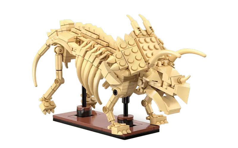 Dinosaur Triceratops Fossil