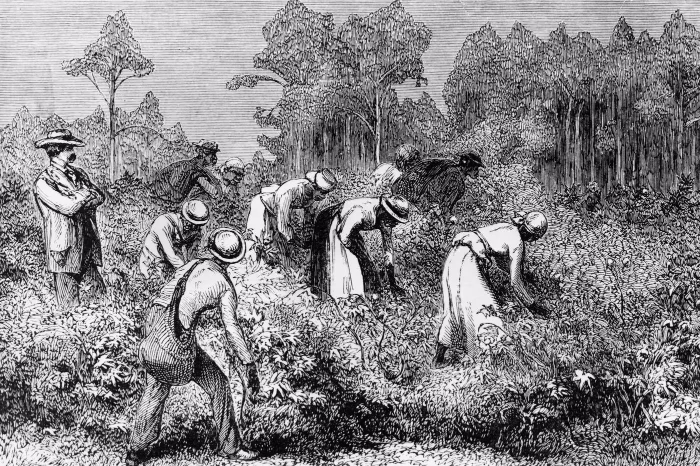 Born out of the oral tradition of African music. Field hollers, or work songs, were performed by enslaved Africans working on plantations as a way of communication and for entertainment to combat the tedium of field work. HULTON ARCHIVE / GETTY IMAGES