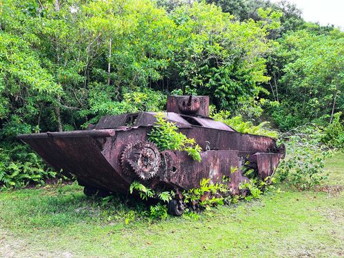 WWII remains (Tank) in Peleliu