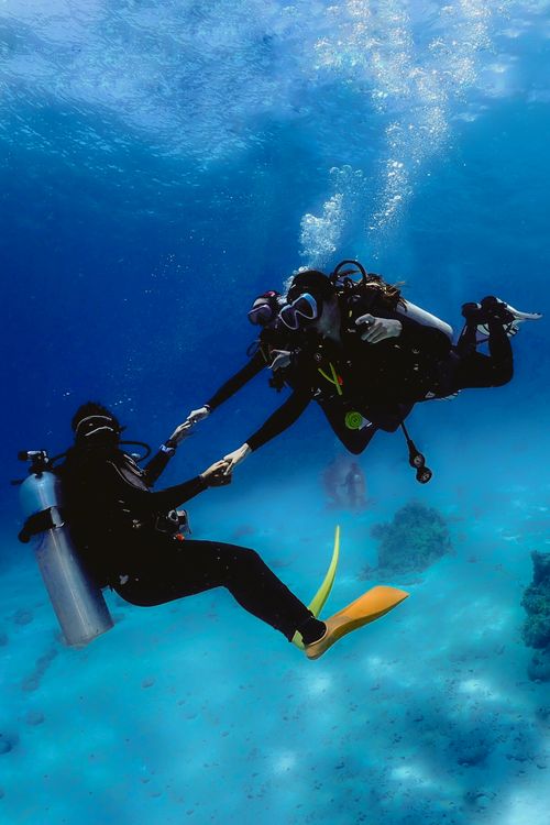 A scuba diver diving with a school of fish