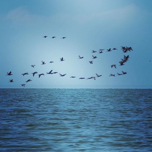 Quiet Conversations: February 29, 2024