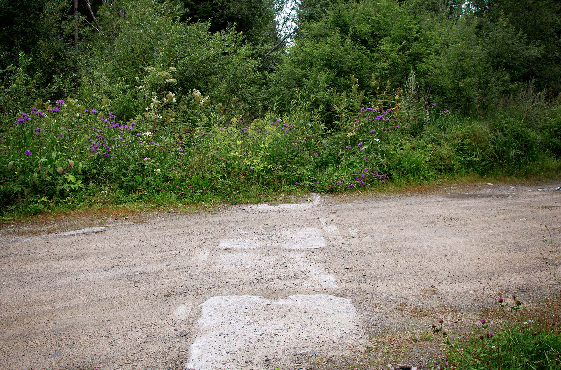 Stitching Tracks by Words and Footsteps