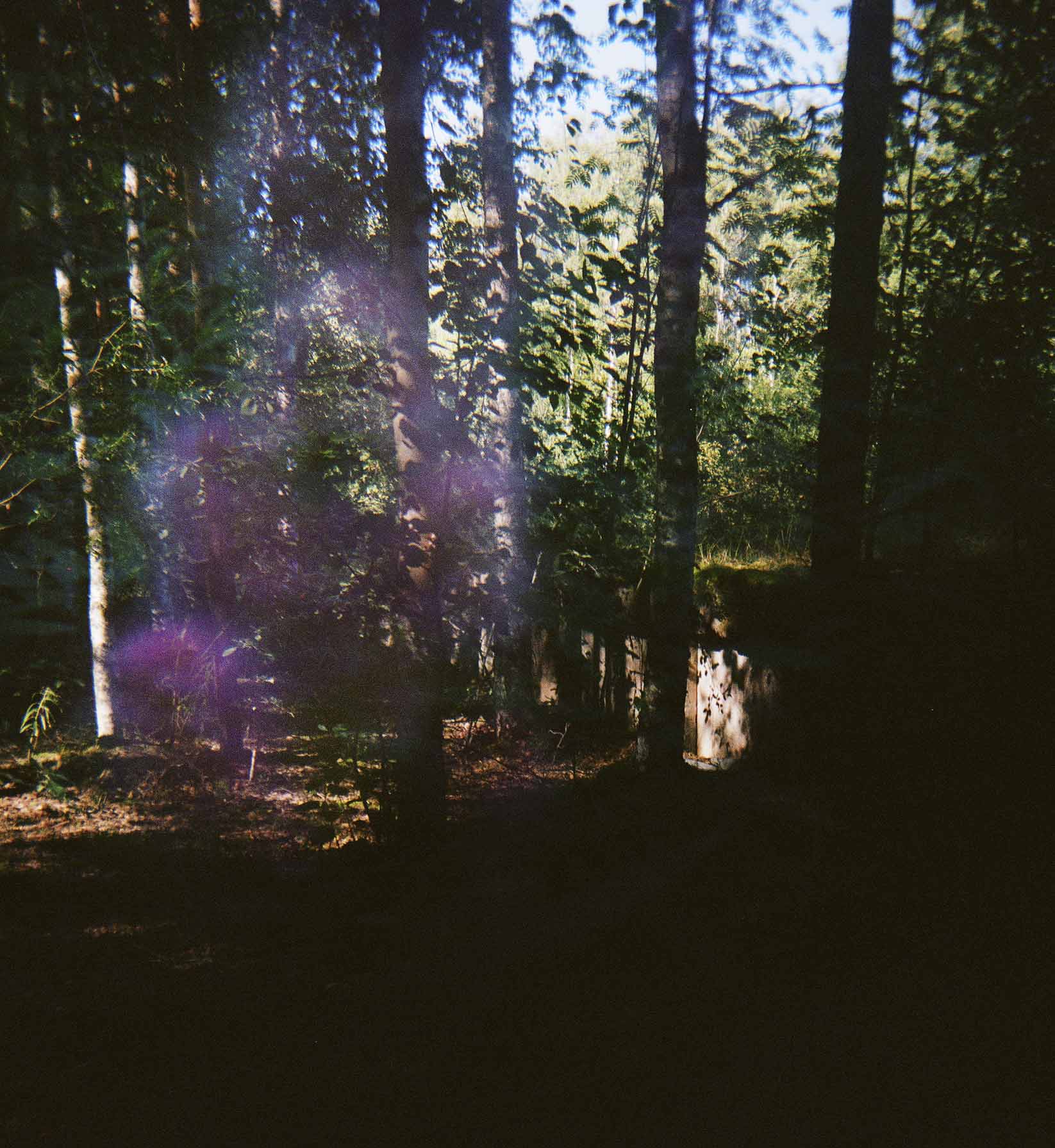 Parikkala, summer 2022 © Hanna Koikkalainen.