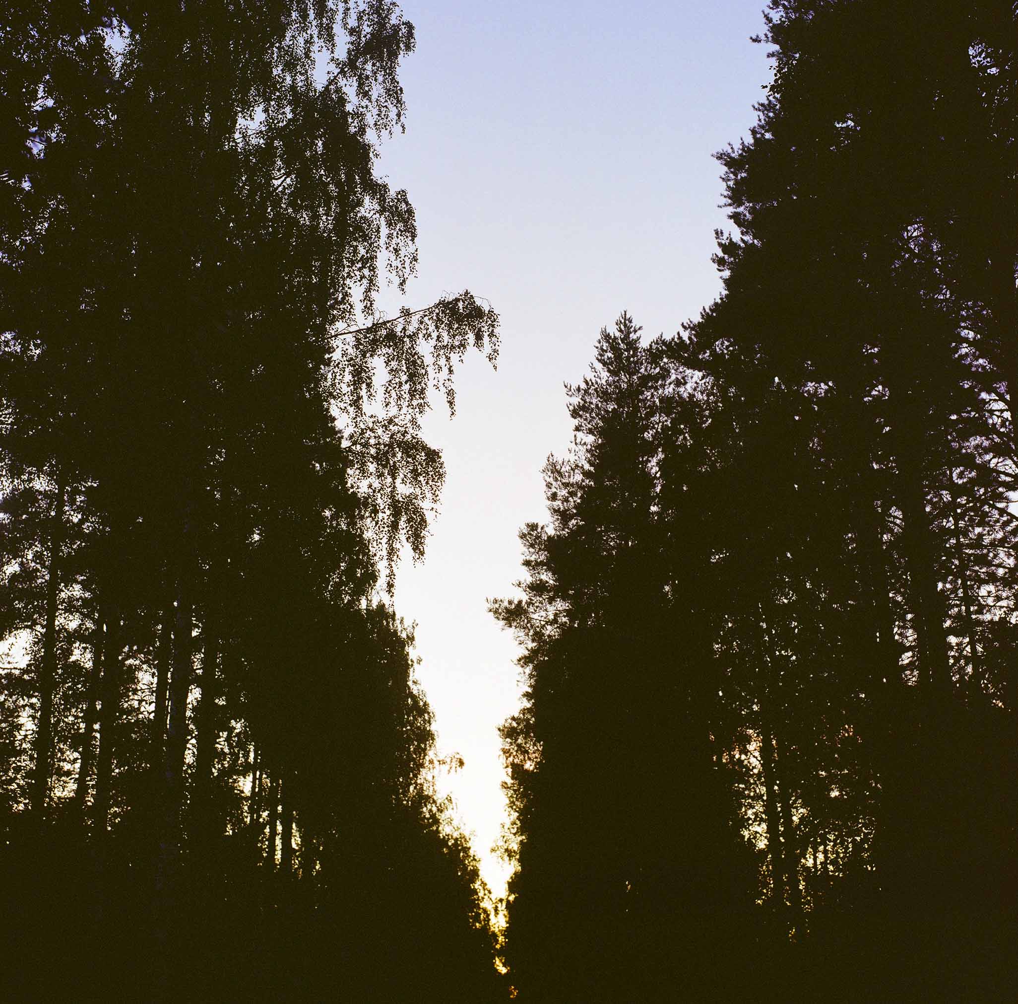 Parikkala, summer 2022 © Hanna Koikkalainen.