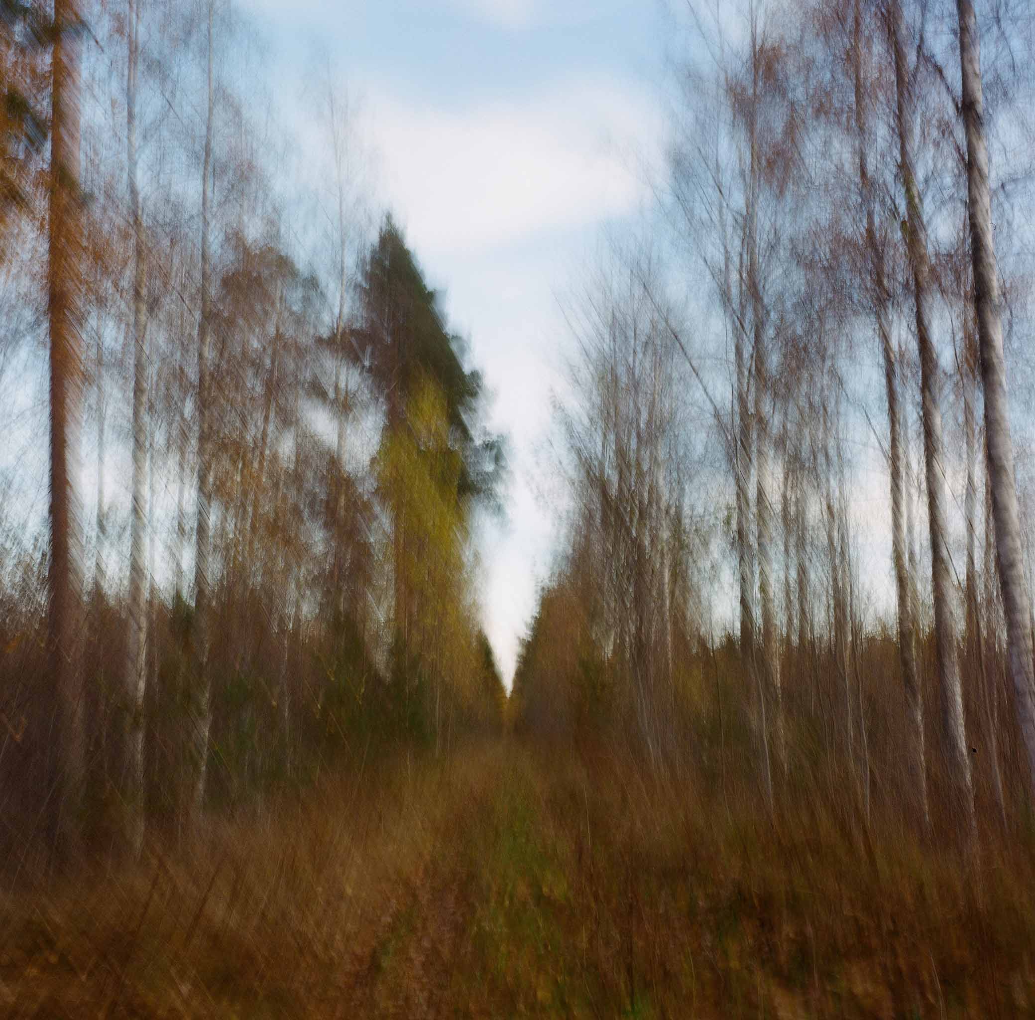 Parikkala, Fall 2022 © Hanna Koikkalainen.