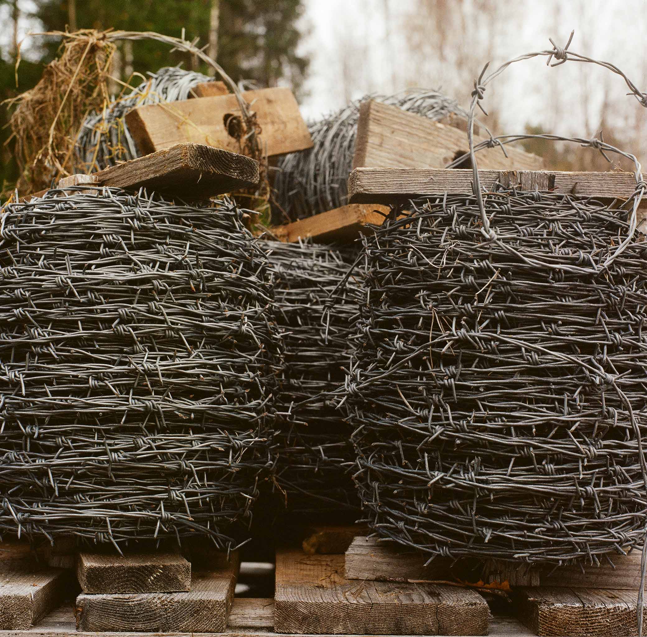 Parikkala, Fall 2022 © Hanna Koikkalainen.