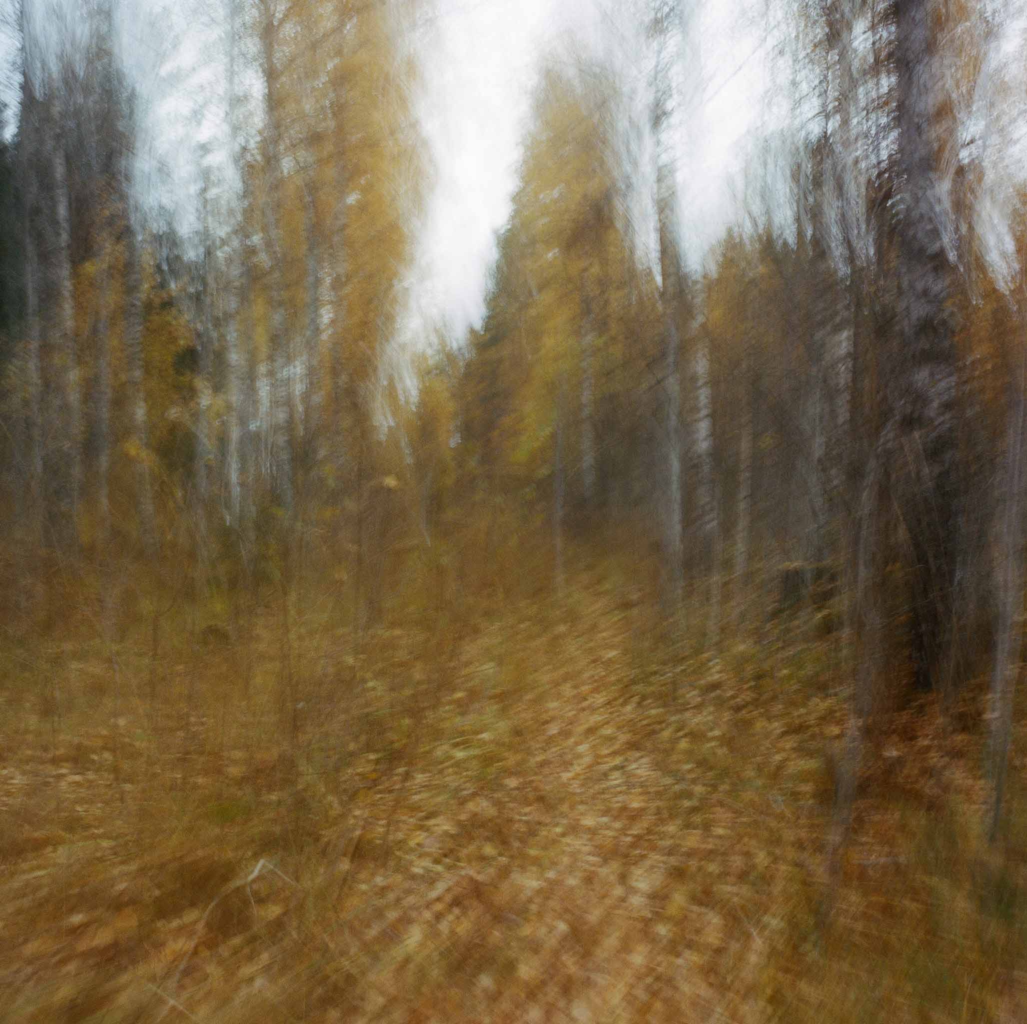 Parikkala, Fall 2022 © Hanna Koikkalainen.