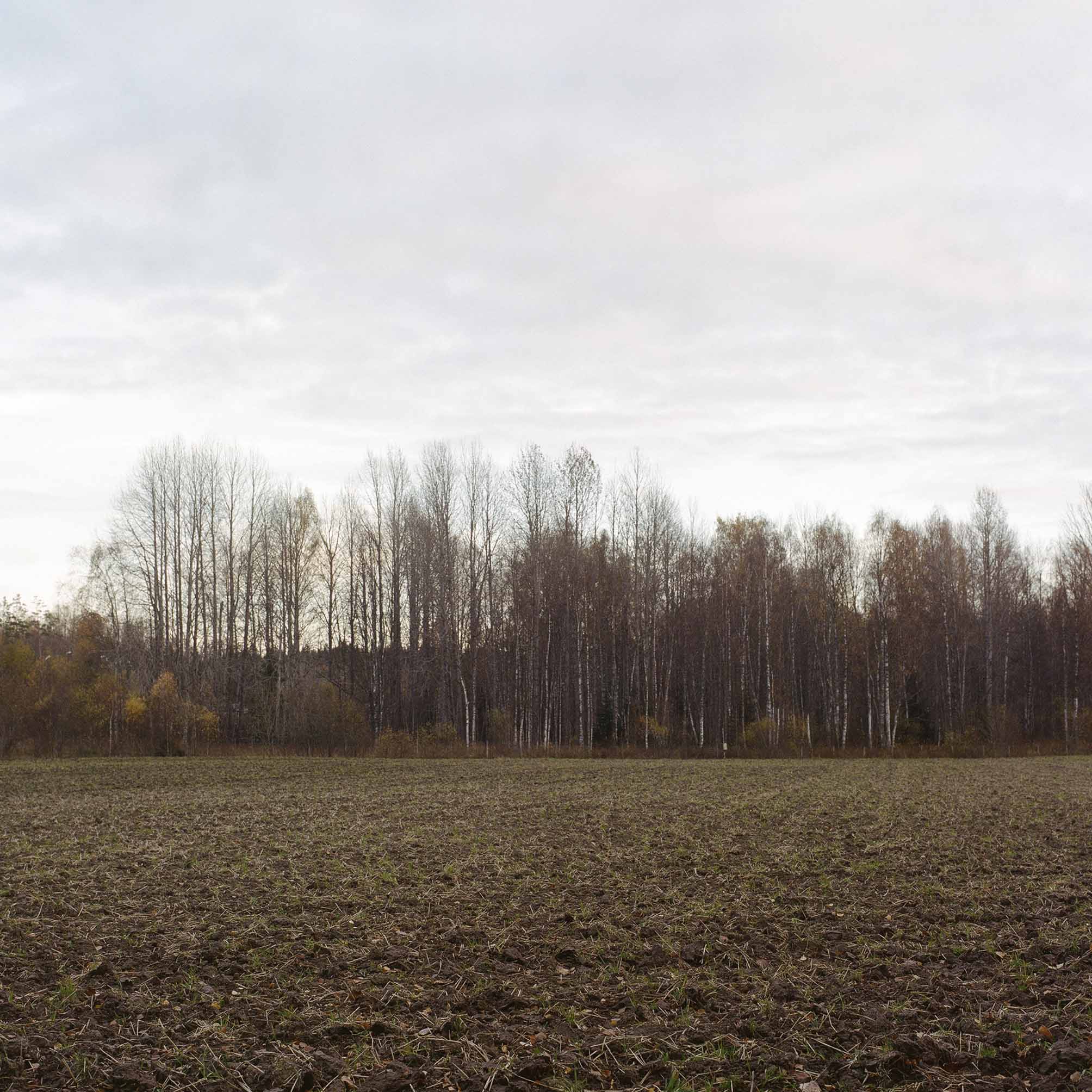 Parikkala, Fall 2022 © Hanna Koikkalainen.