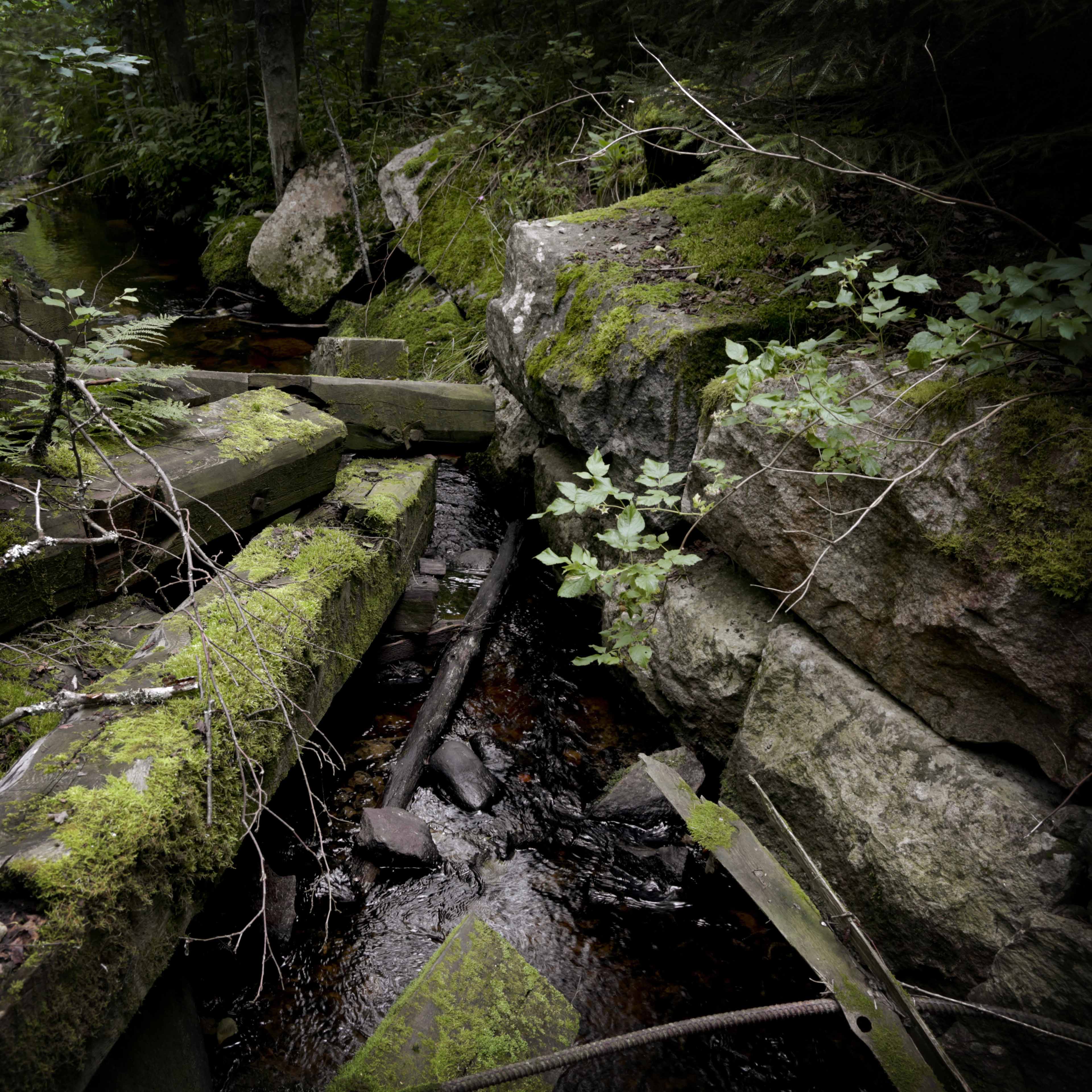 Syväoro (Russia). 1.8.2019 © Hanna Koikkalainen.