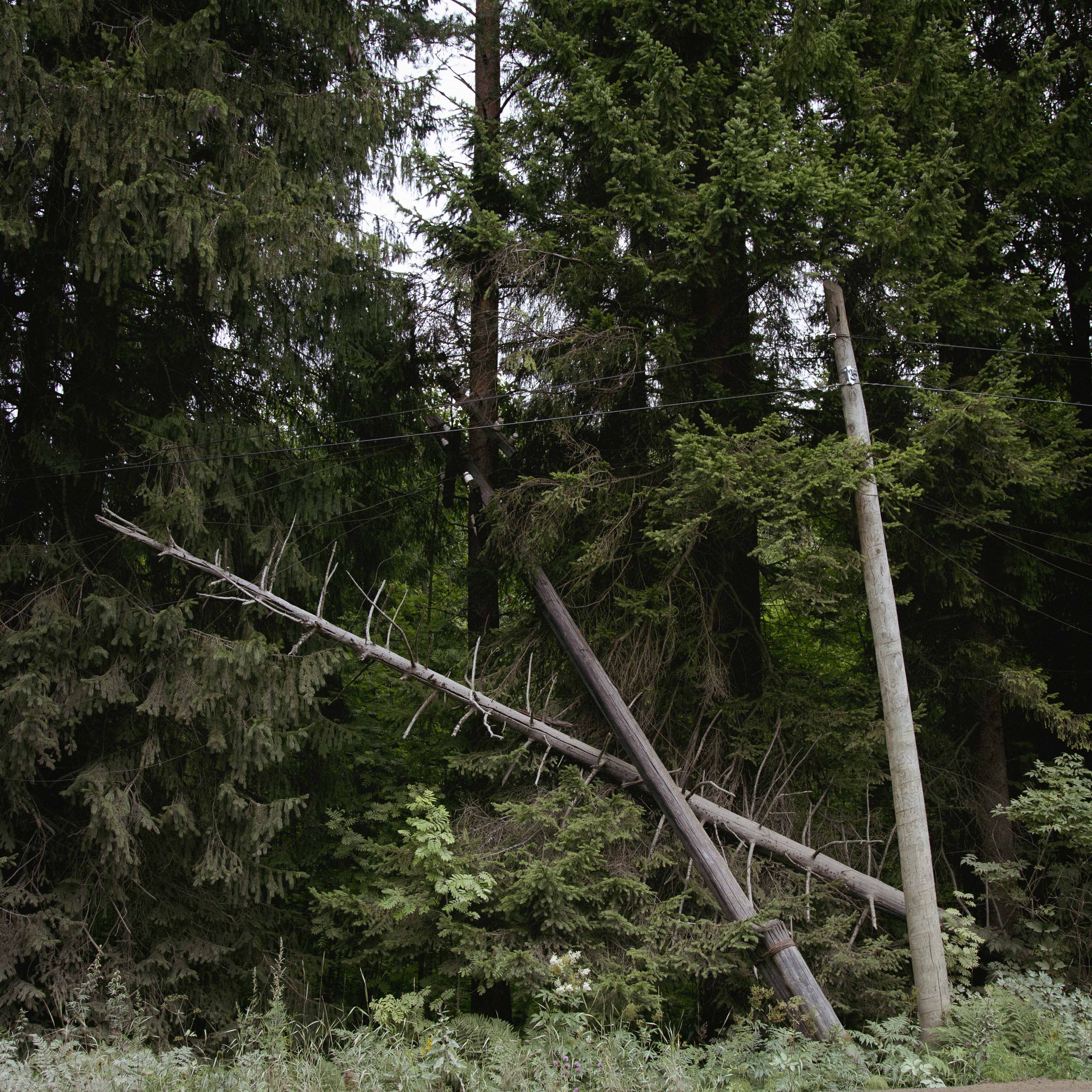 Syväoro (Russia). 1.8.2019 © Hanna Koikkalainen.